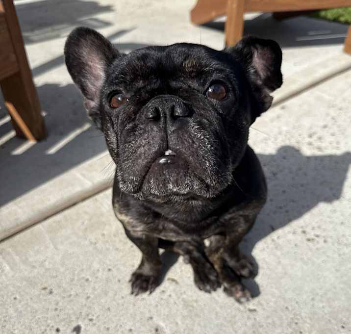 Photo of Zady