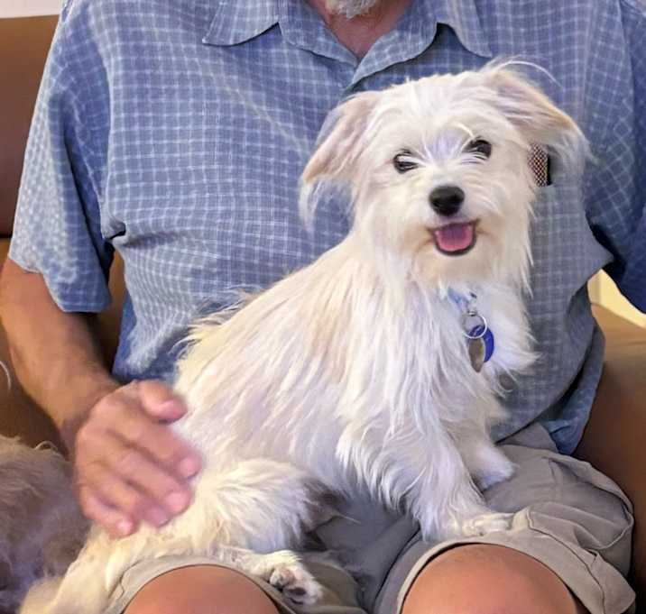 Photo of Bix