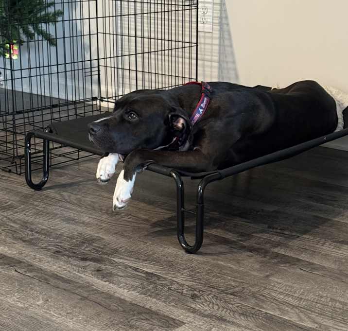 Photo of Duke