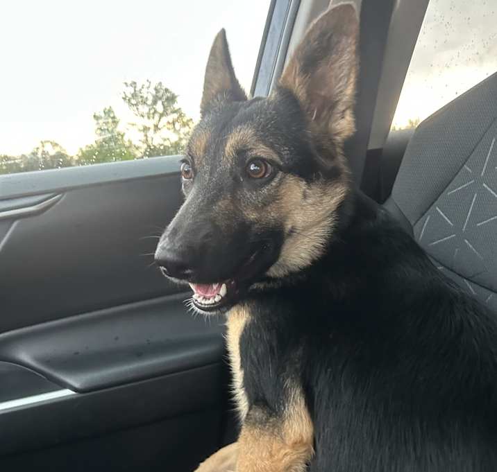 Photo of Winnie