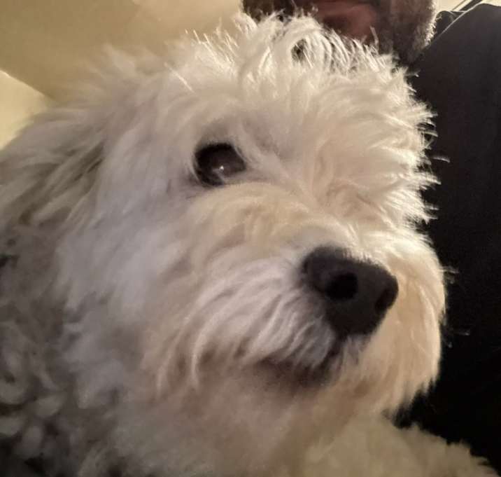 Photo of Charlie
