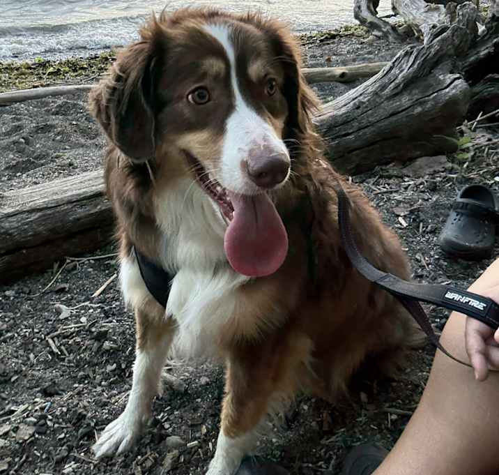 Photo of Mylo