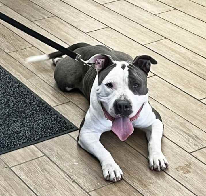 Photo of Chance