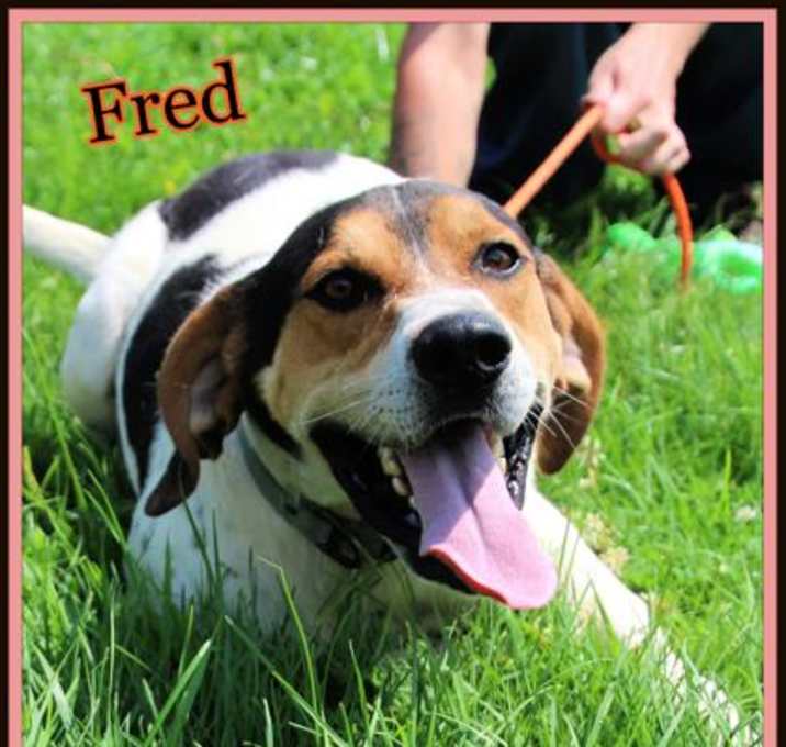Photo of Fred