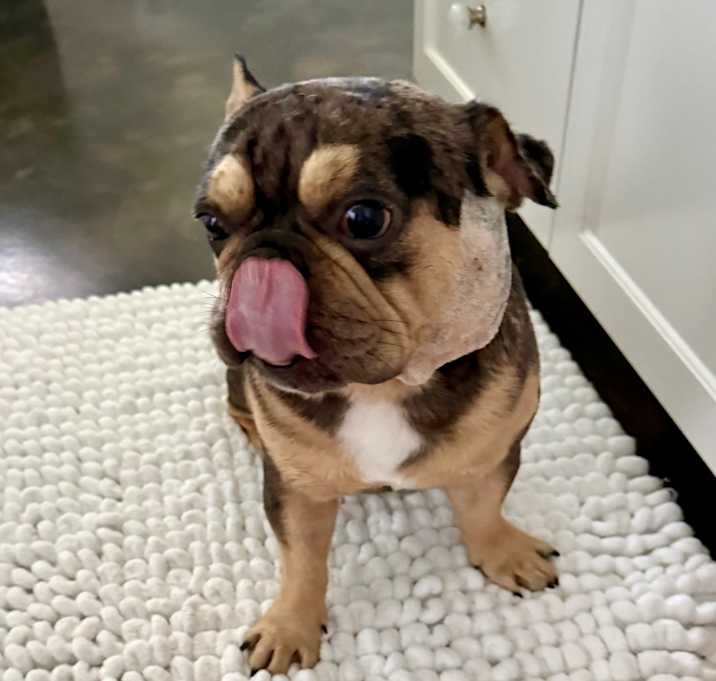 Photo of Wallace