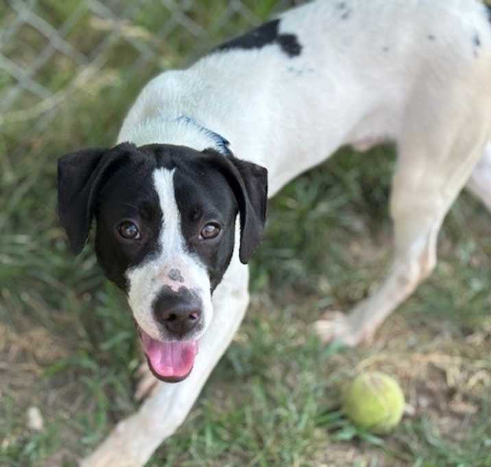 Photo of Echo