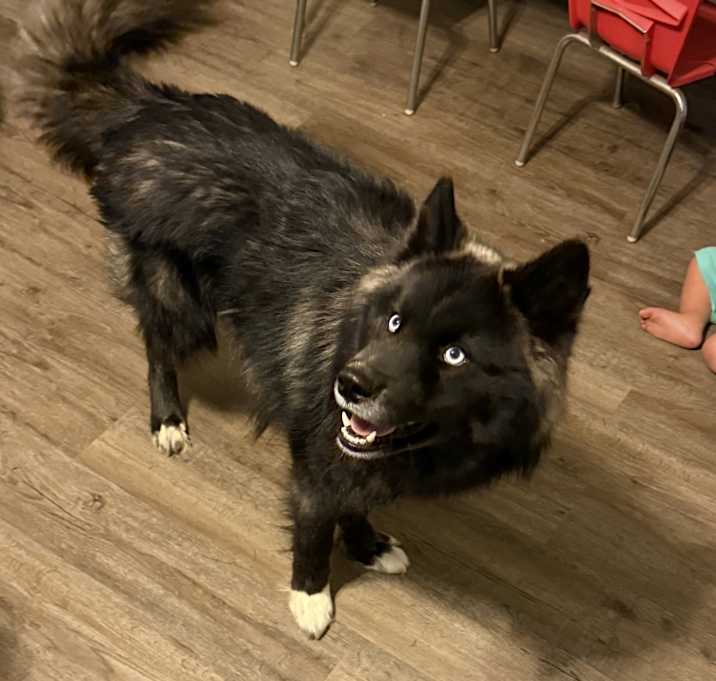 Photo of Beast