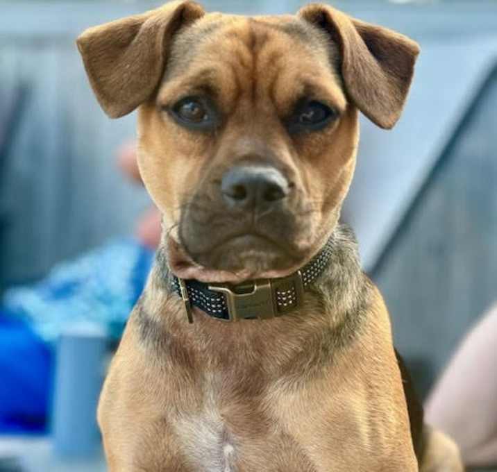Photo of Rudy