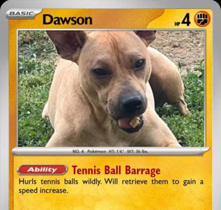 Photo of Dawson