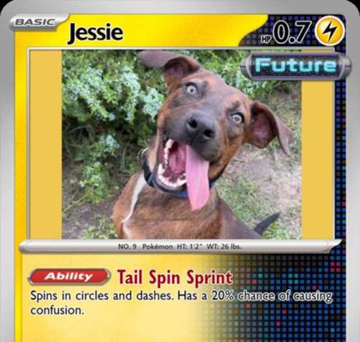 Photo of Jessie