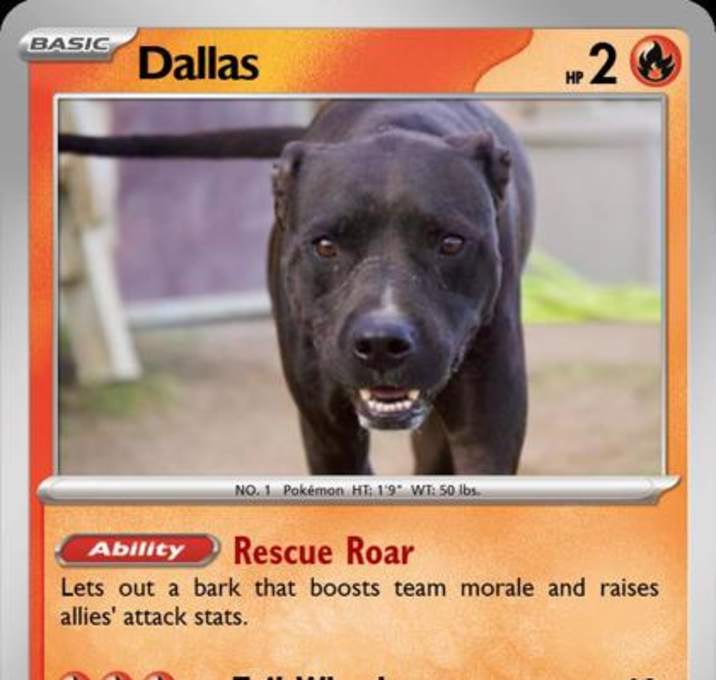 Photo of Dallas