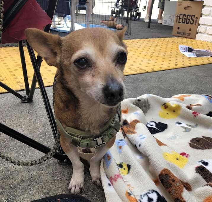 Photo of Pablo
