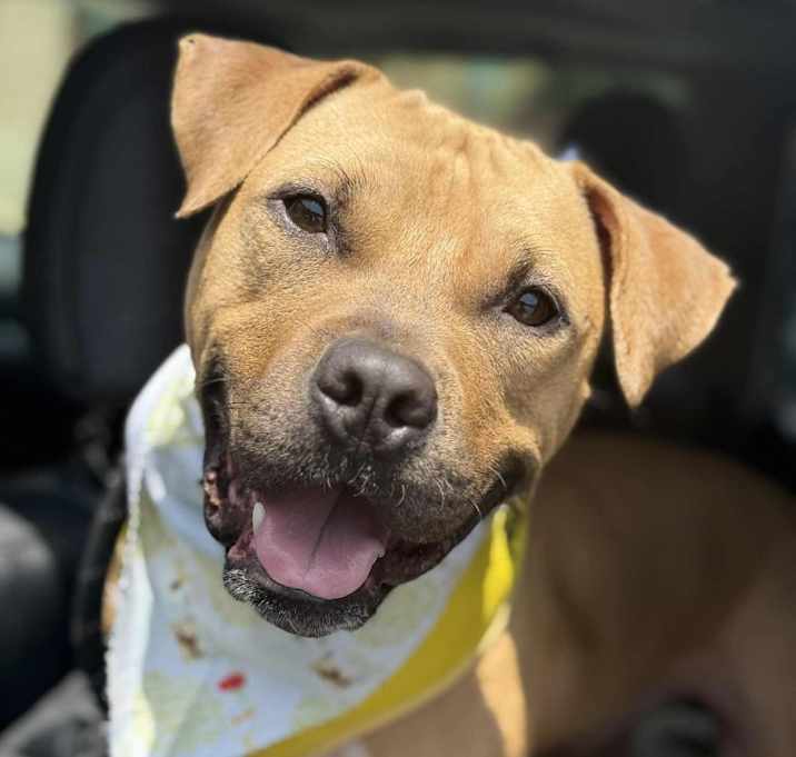 Photo of Bourbon