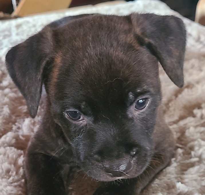 Photo of Finn