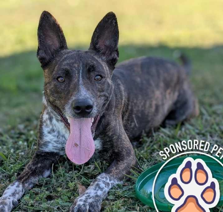 Photo of Spike
