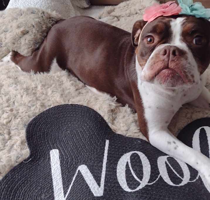Photo of LOLA