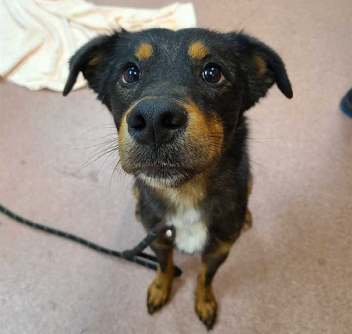 Photo of MUDPIE