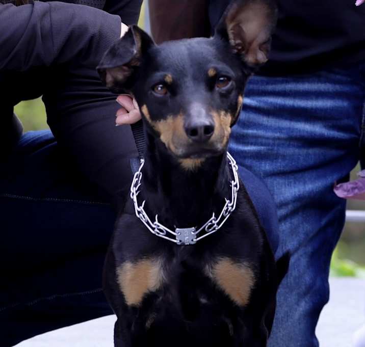 Photo of Junie