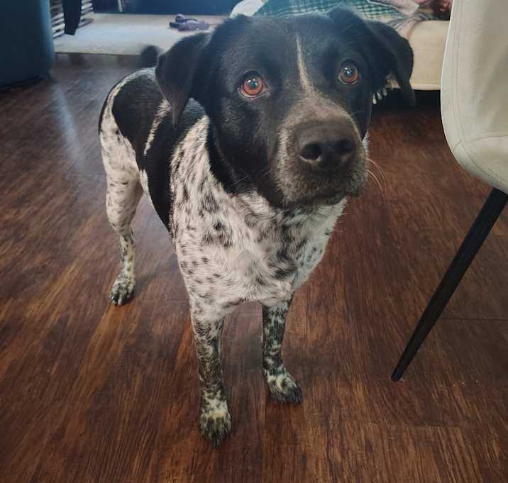 Photo of Chloe