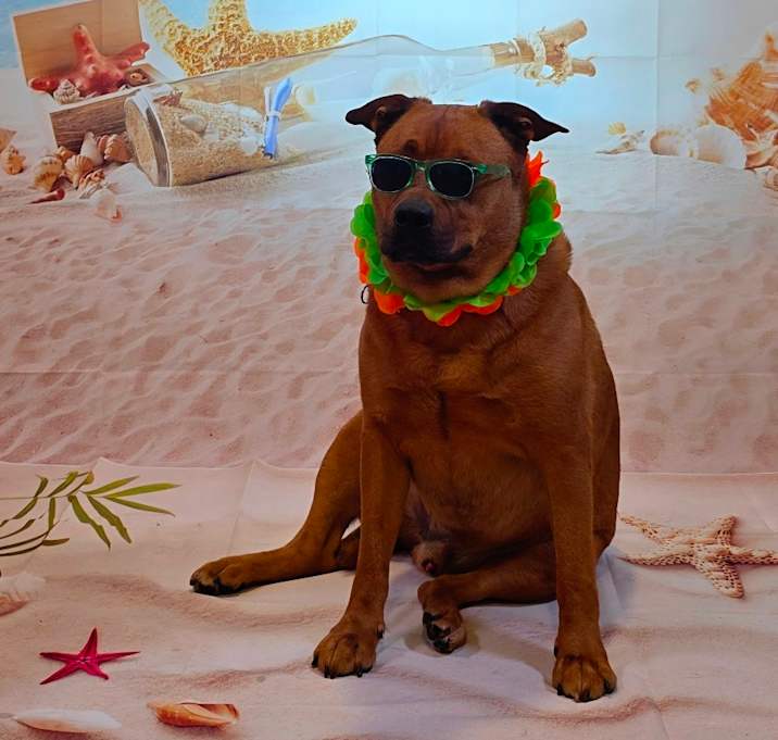 Photo of Zeus