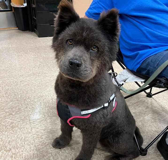 Photo of Chloe