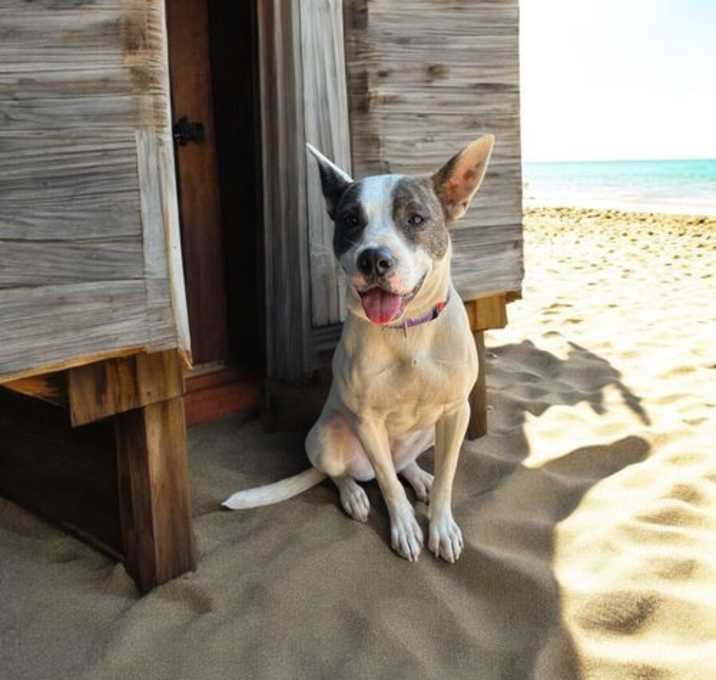 Photo of Isla