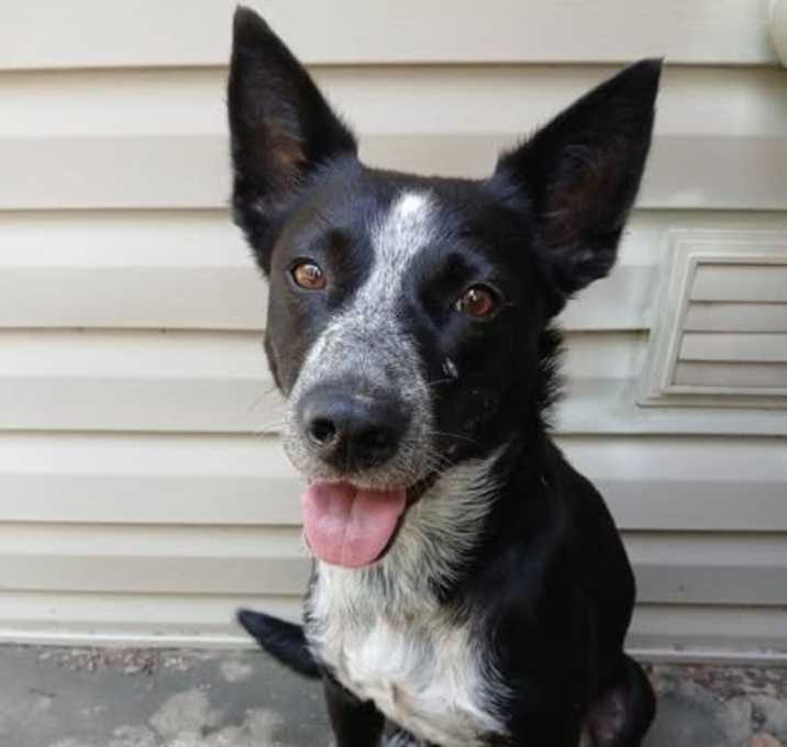 Photo of Unknown. I call her Sally
