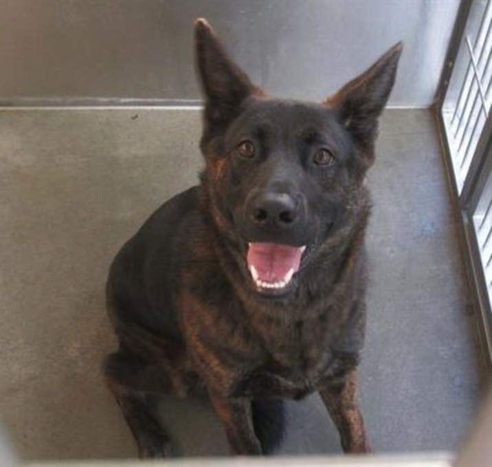 Photo of XENA