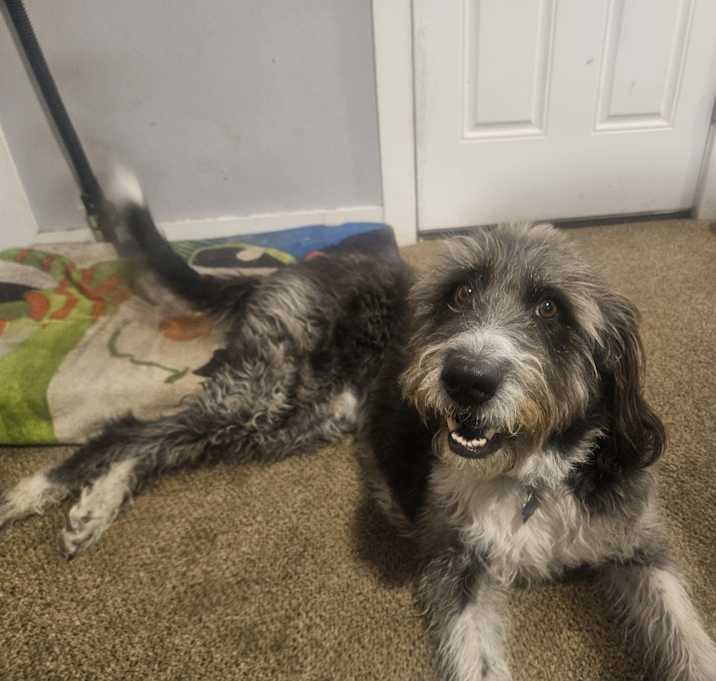 Photo of Niko
