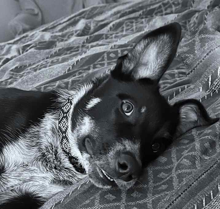 Photo of Sixx