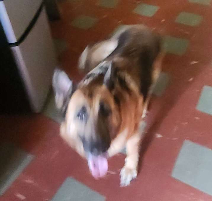 Photo of Hailey