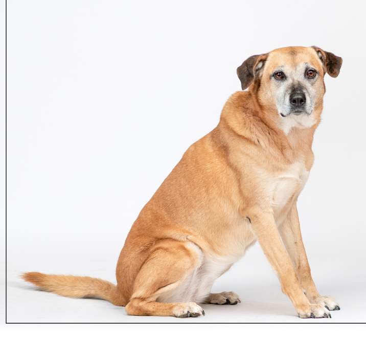 Photo of Abby