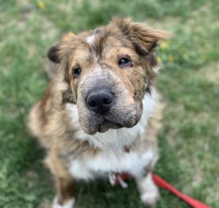 Photo of Clio