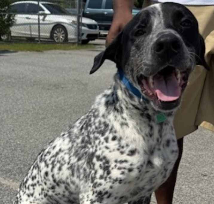 Photo of Faith URGENT HELP NEEDED NOW!