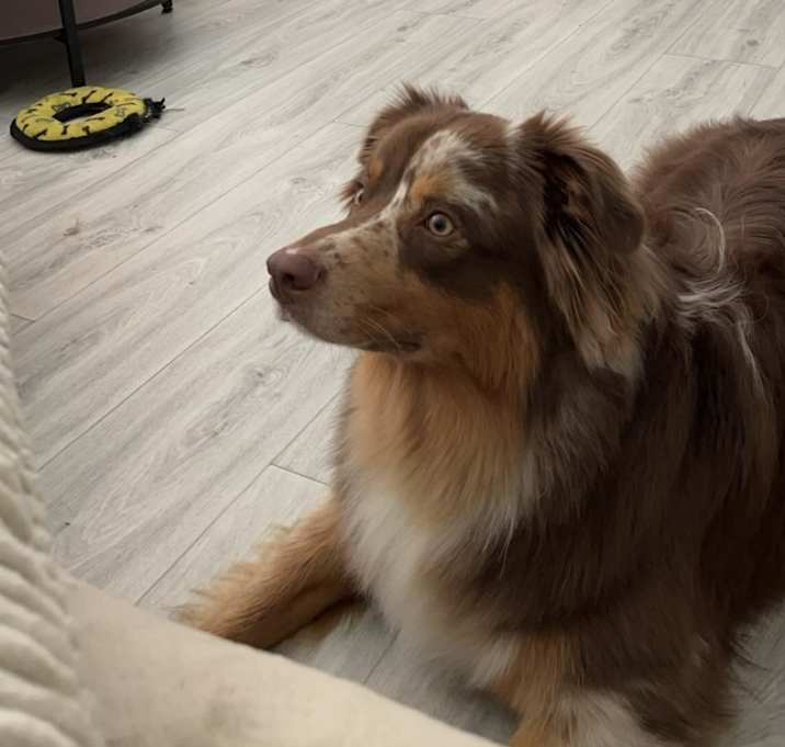 Photo of Luka