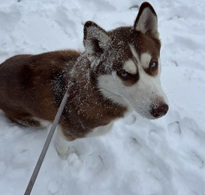 Photo of Athena