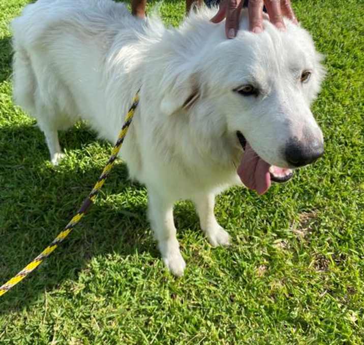 Photo of LOLA