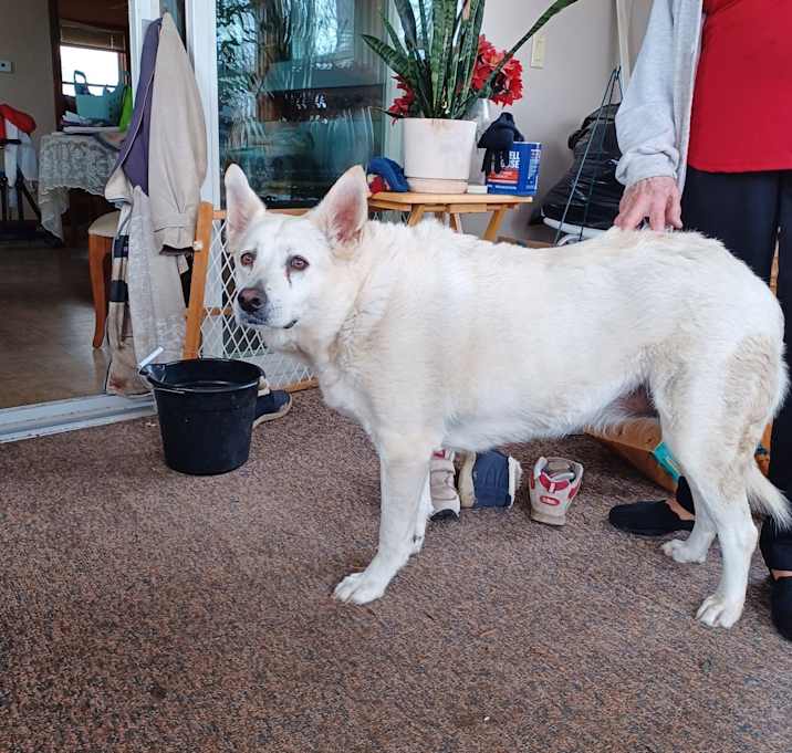 Photo of Roxy