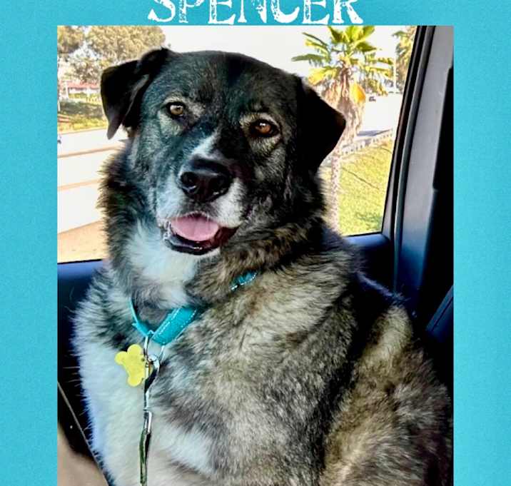 Photo of Spencer