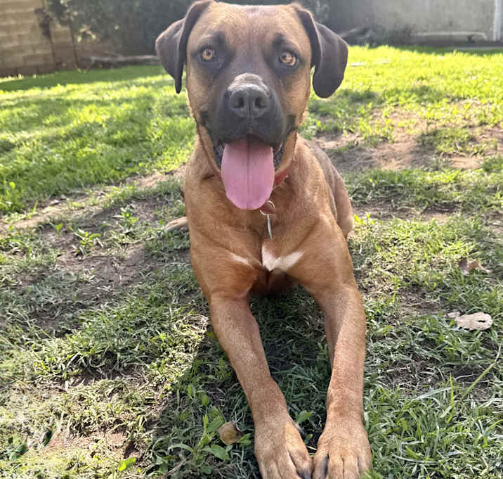 Photo of Missy