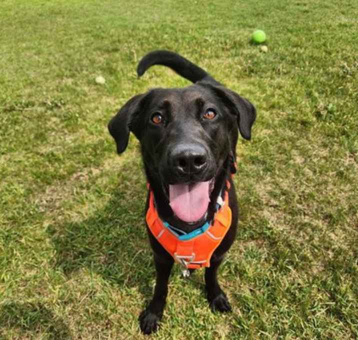 Photo of Molly