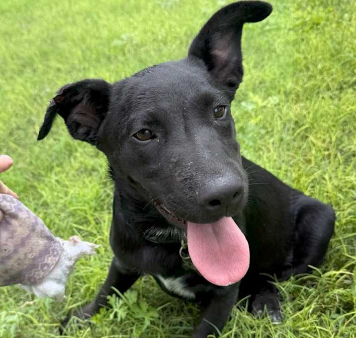 Photo of Skippy