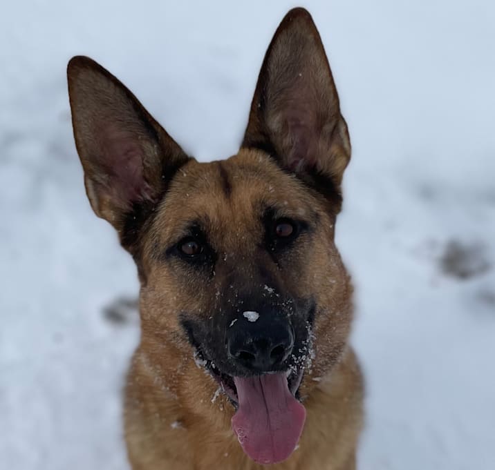 Photo of Xena