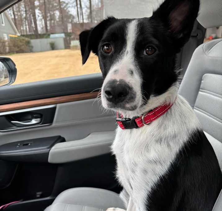 Photo of Charlie