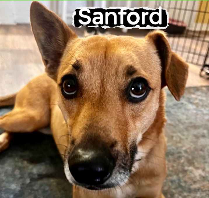 Photo of Sanford