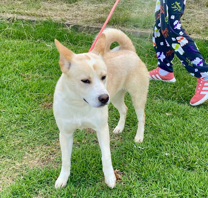 Photo of STORMY