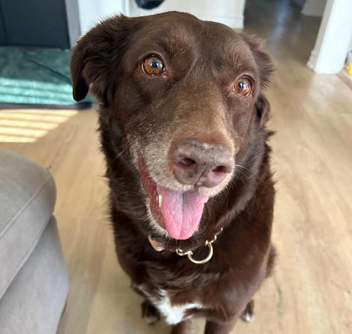 Photo of Chloe