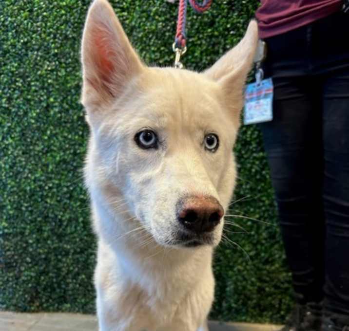 Photo of Lexi