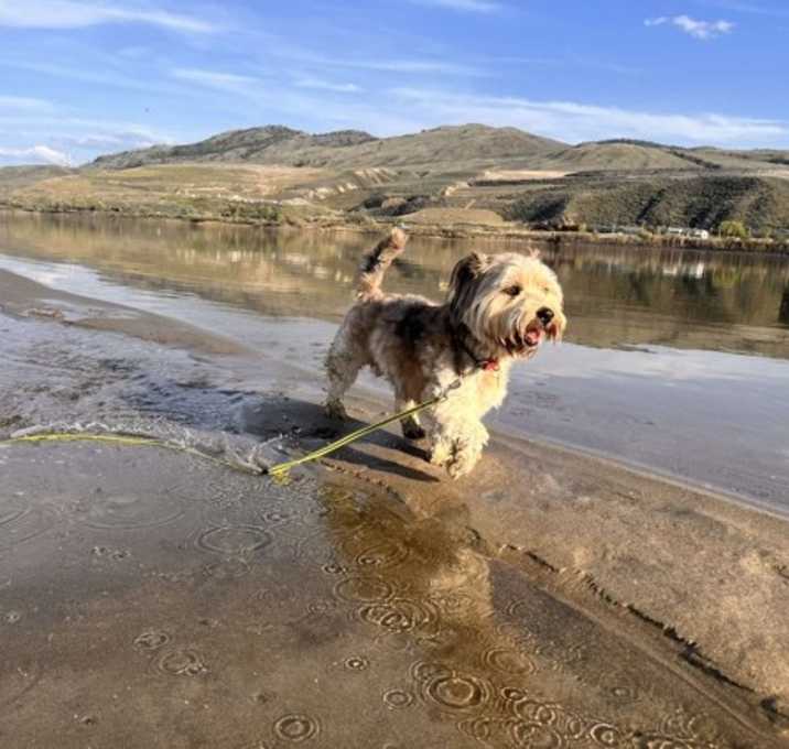 Photo of Benny