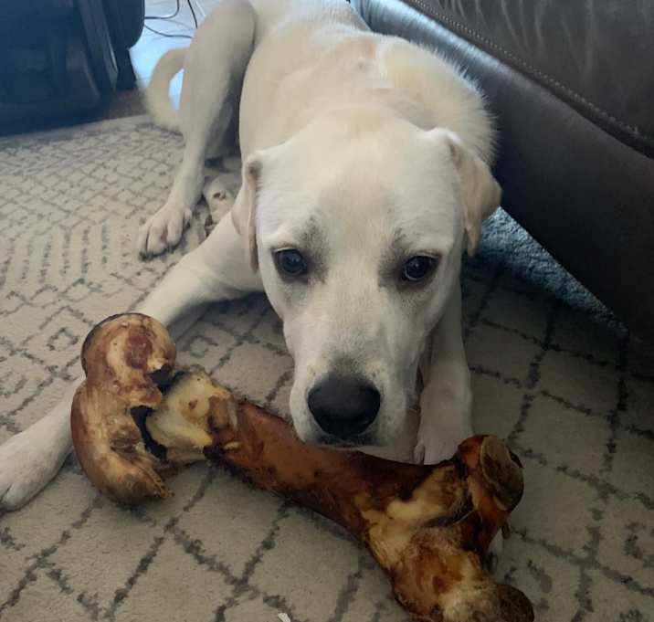 Photo of Olive